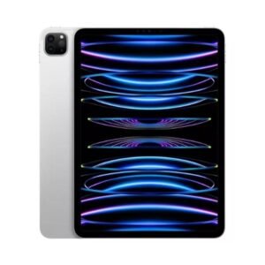 iPad Pro 11" 4ta Generación 256GB Silver